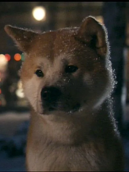 Hayatınız boyunca sizi en çok etkileyen film hangisiydi?