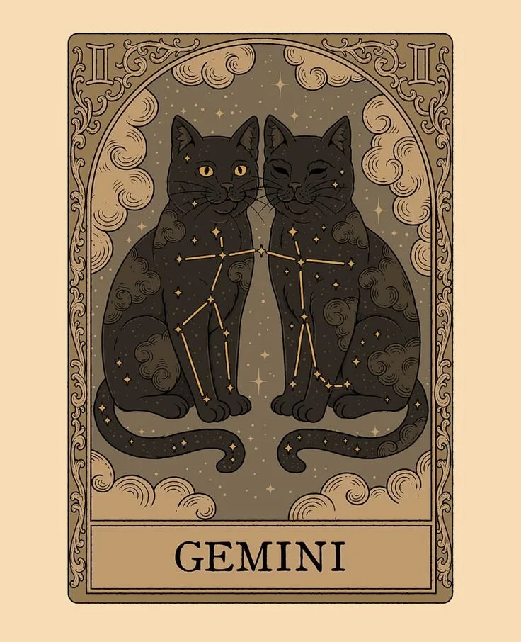 İkizler burcu insanları bana çok sinsi geliyor. Sizin tanıdığınız ikizler burçları nasıl?